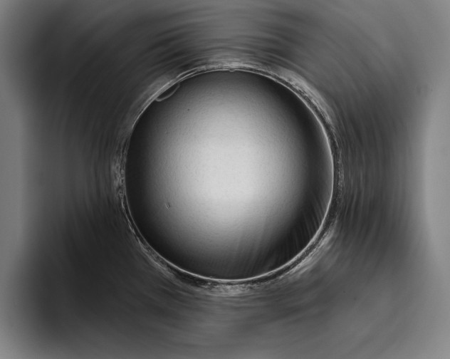 X0000093381385200711081536