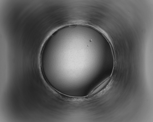 X0000093381389200711081536