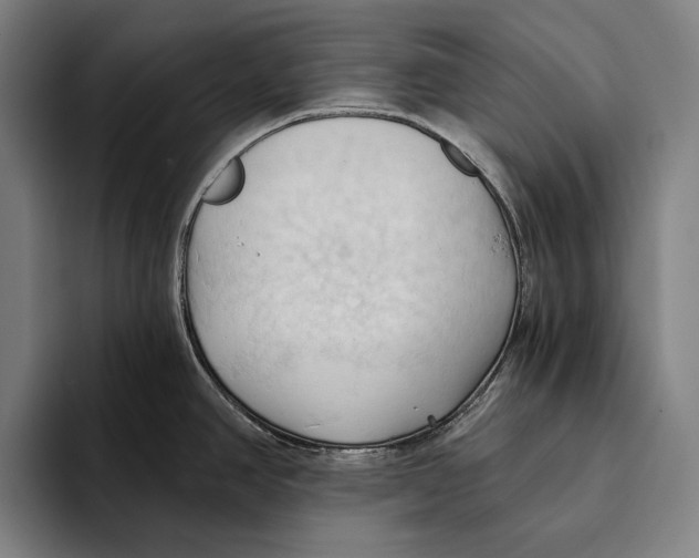 X0000093381390200711081536