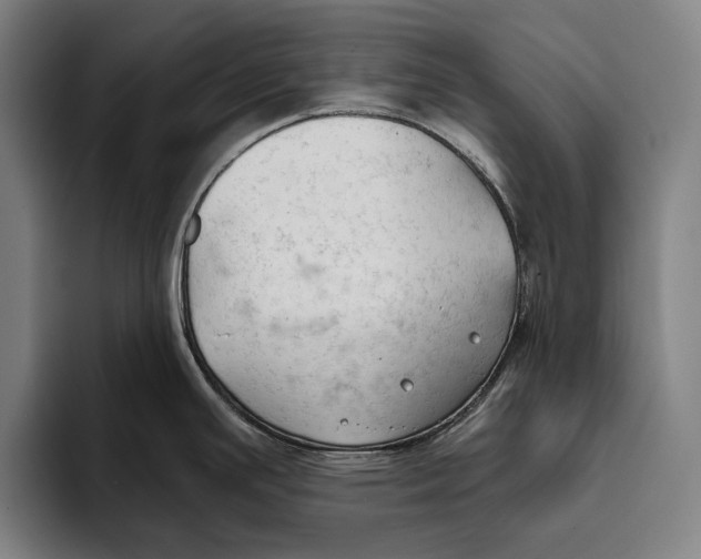 X0000093381391200711081536