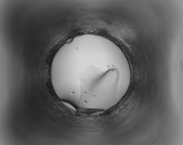 X0000093381399200711081535