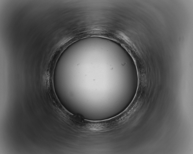 X0000093381402200711081535