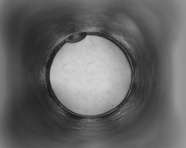 X0000093381404200711081535