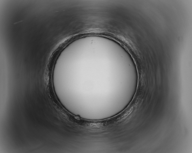 X0000093381406200711081535