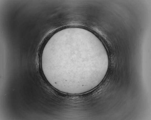 X0000093381408200711081535