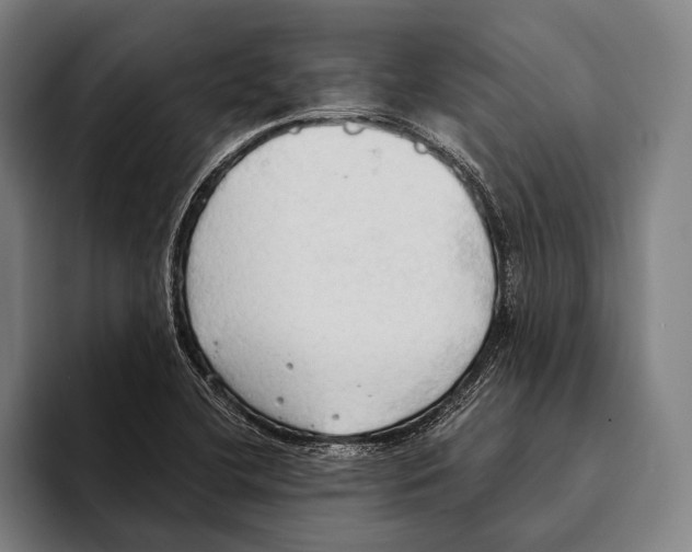 X0000093381412200711081536