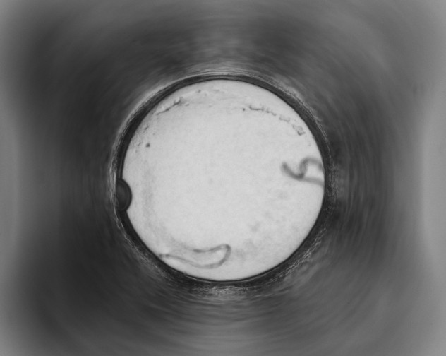 X0000093381416200711081536