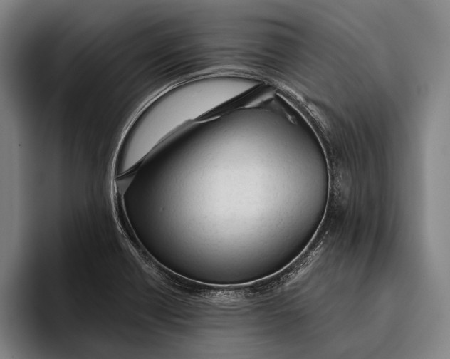 X0000093381418200711081536