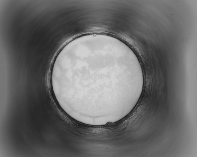 X0000093381421200711081536