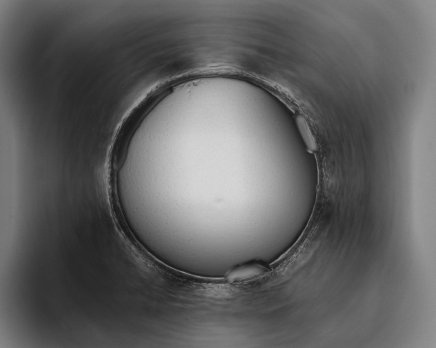 X0000093381422200711081536