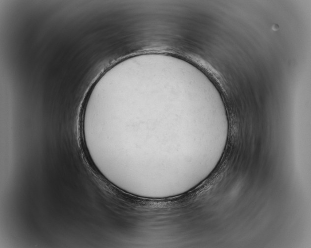 X0000093381423200711081536