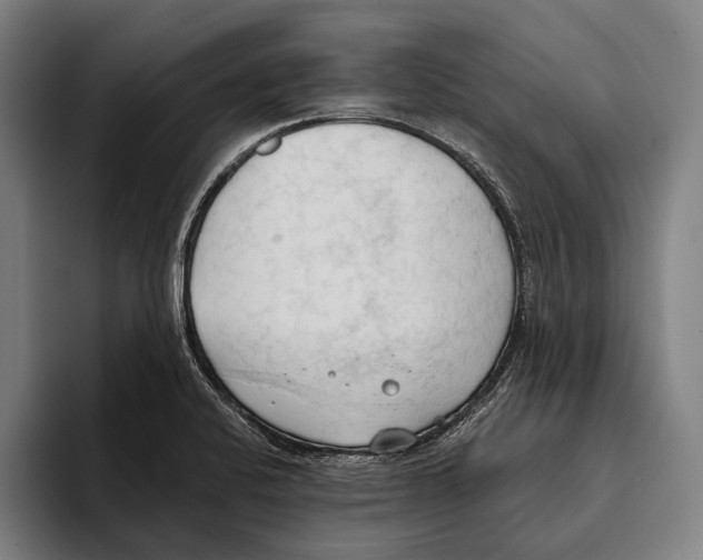 X0000093381424200711081536