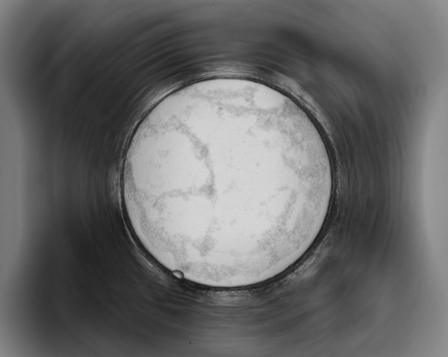 X0000093381433200711081536