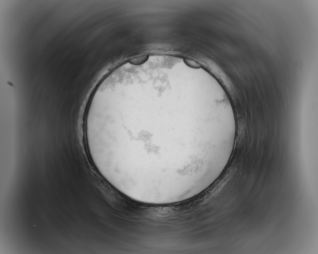 X0000093381435200711081536