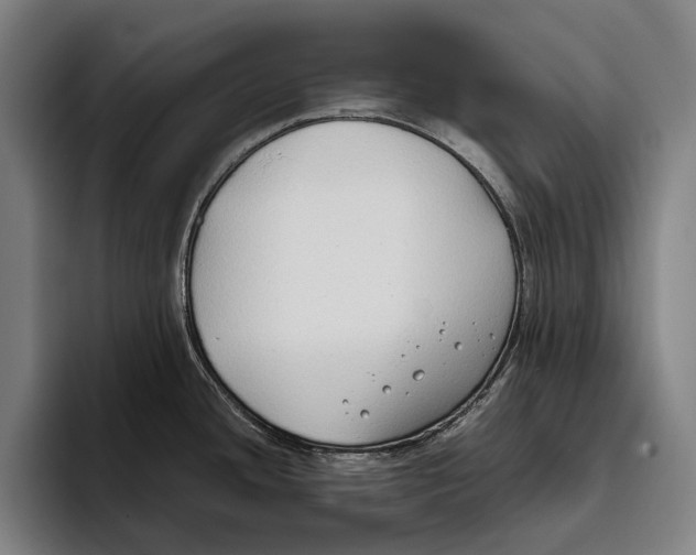 X0000093381436200711081536