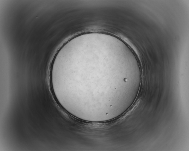 X0000093381437200711081536