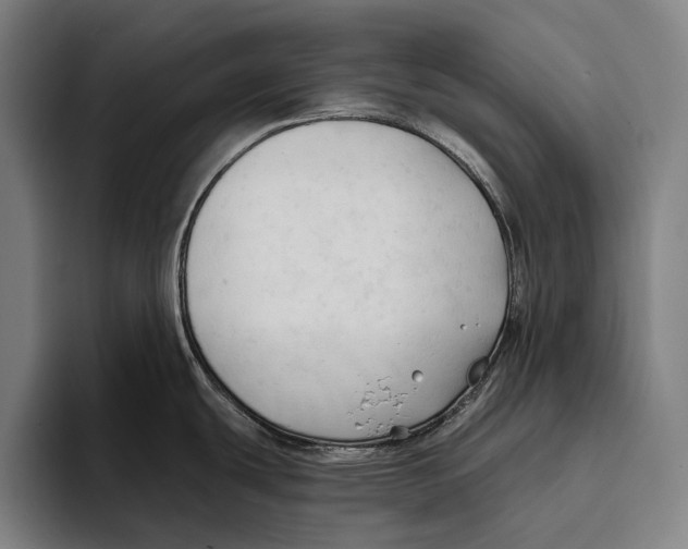 X0000093381439200711081536