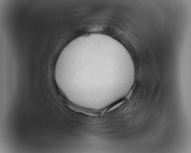 X0000093381441200711081535