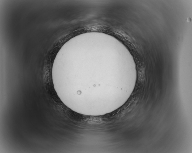 X0000093381446200711081535