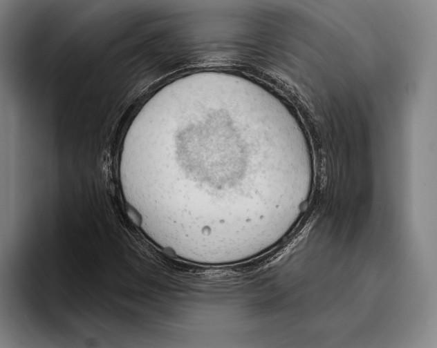 X0000093381449200711081535