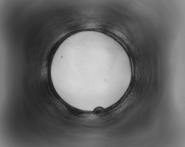 X0000093381450200711081535