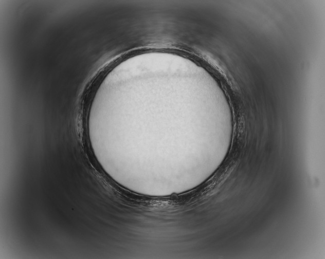 X0000093381456200711081535