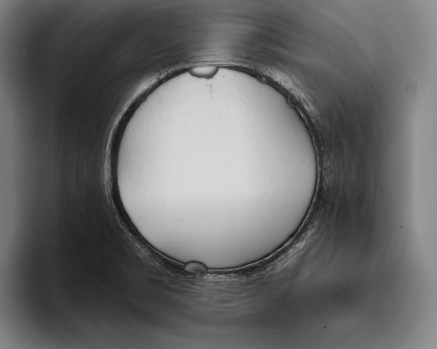 X0000093381469200711081535