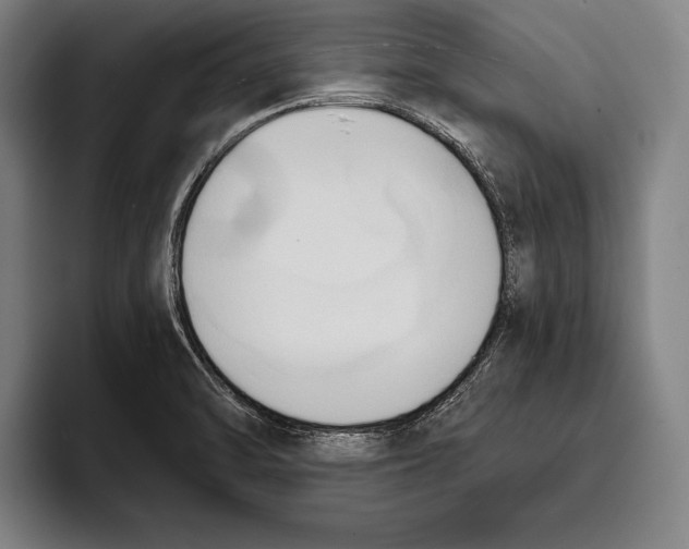 X0000093381470200711081535