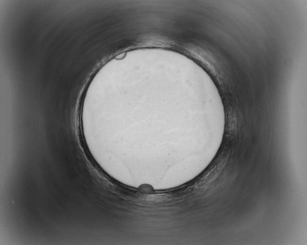 X0000093381471200711081535