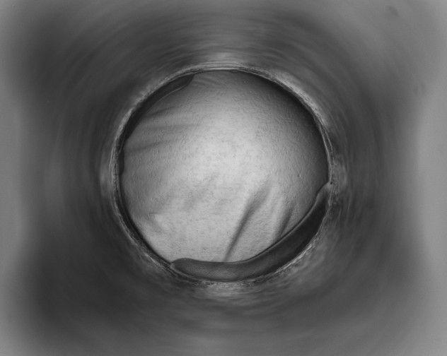 X0000093381477200711081535