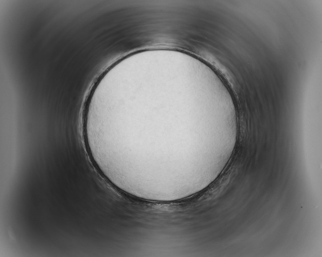 X0000093381480200711081535