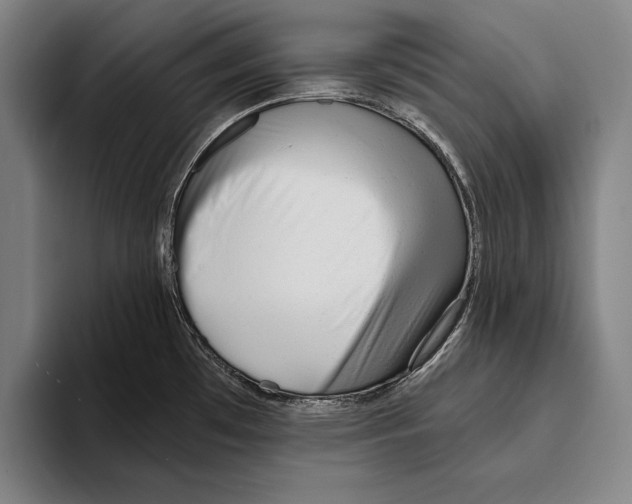 X0000093381481200711081535