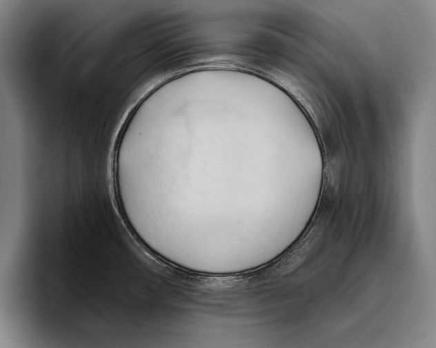 X0000093381482200711081535