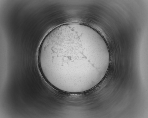 X0000093381483200711081535