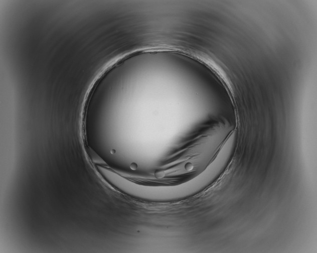 X0000093381485200711081535