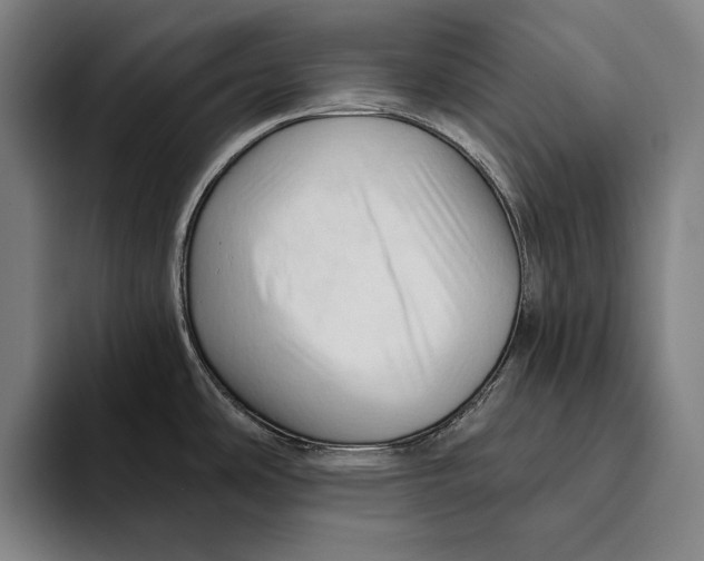 X0000093381486200711081535