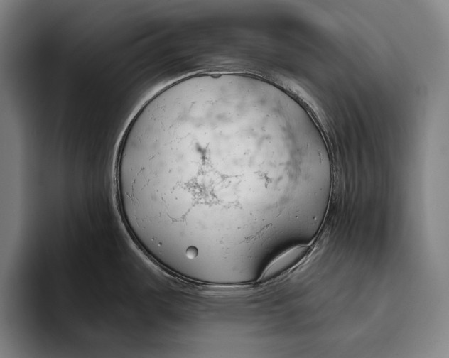 X0000093381487200711081535