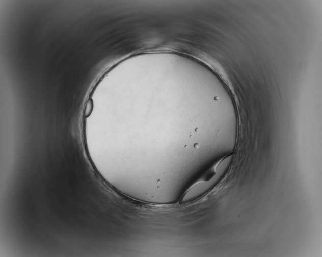 X0000093381488200711081535