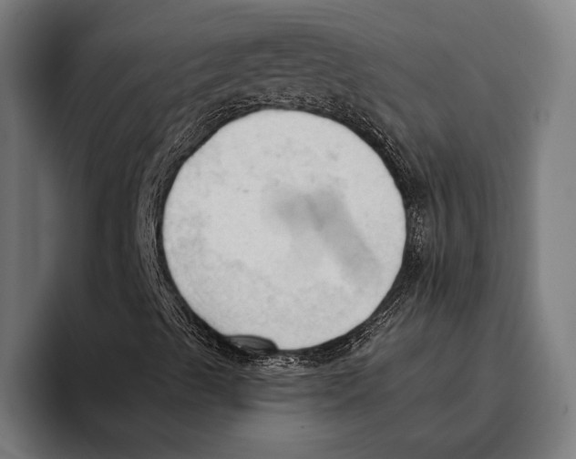 X0000093381489200711081534