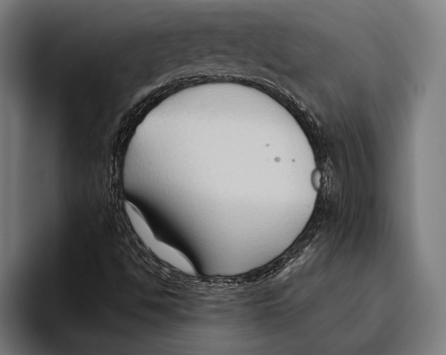 X0000093381494200711081534