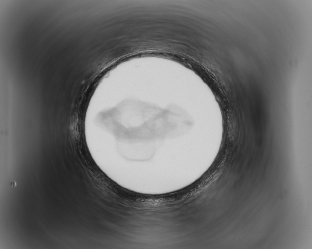 X0000093381497200711081534