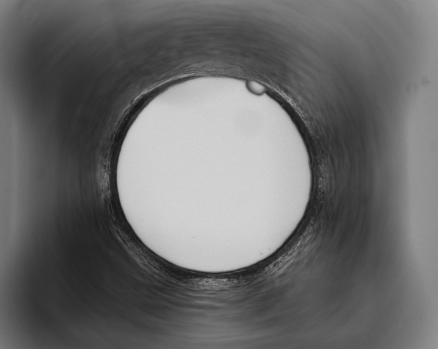 X0000093381499200711081534