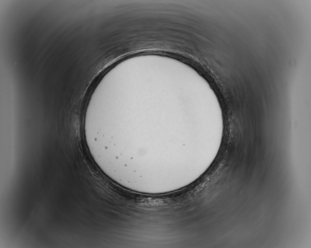 X0000093381505200711081534