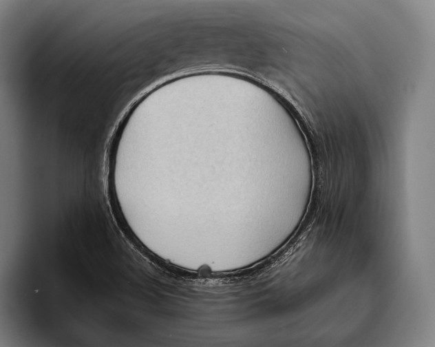 X0000093381508200711081534