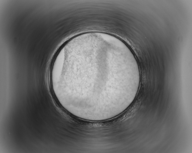 X0000093381515200711081534