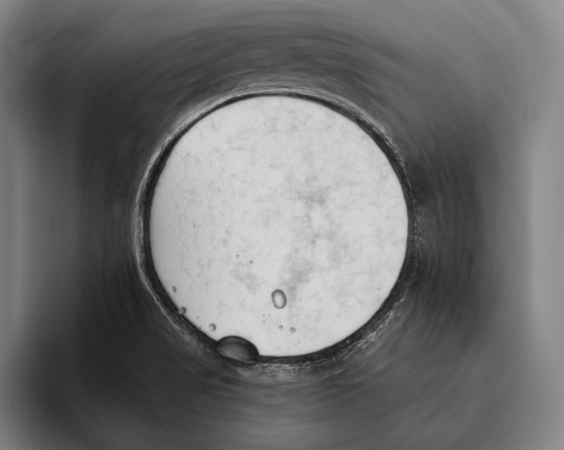 X0000093381517200711081534