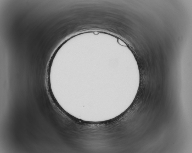 X0000093381518200711081534