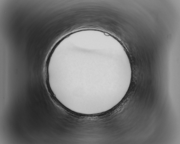 X0000093381519200711081534