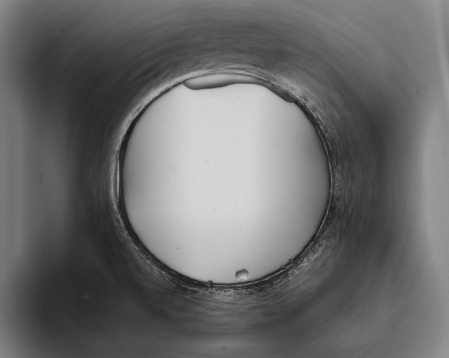 X0000093381520200711081534