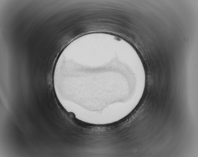 X0000093381521200711081534